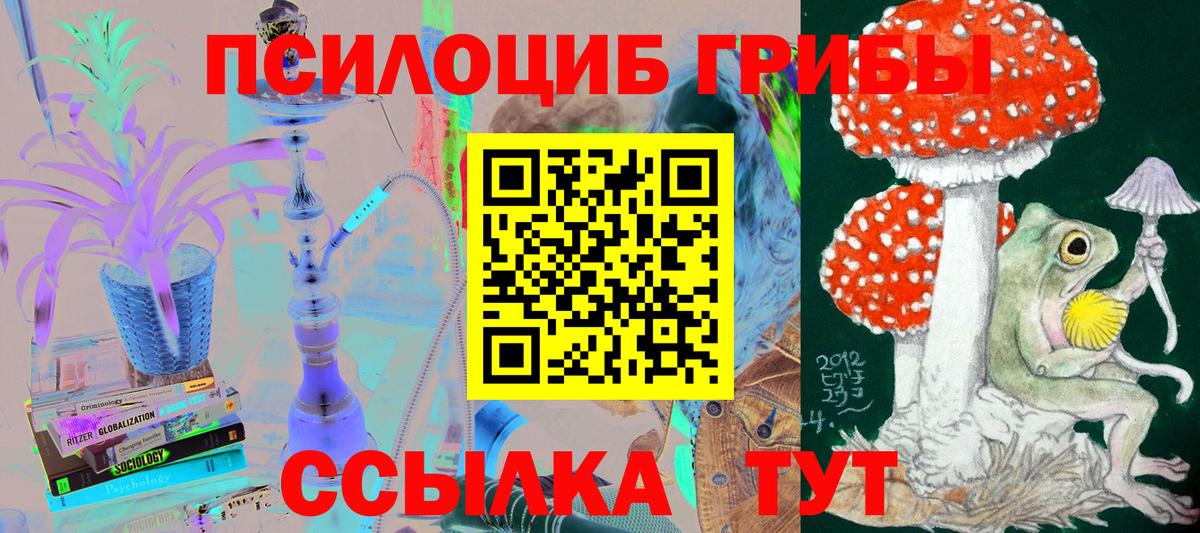 Псилоцибиновые грибы Cubensis  Вход с VPN  Галлюциногенные грибы MAGIC MUSHROOMS  Гудермес 