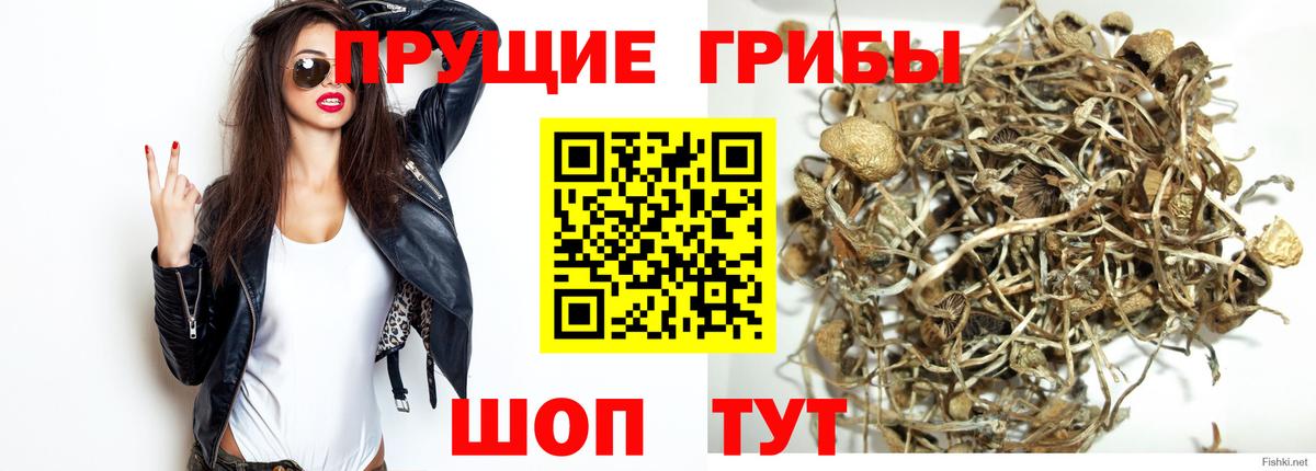 Псилоцибиновые грибы Magic Shrooms Гудермес